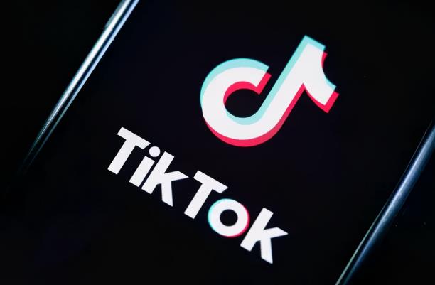 龟课·TikTok变现实战训练营线上第4期,0基础教你搬运视频,获得热门赚美金!