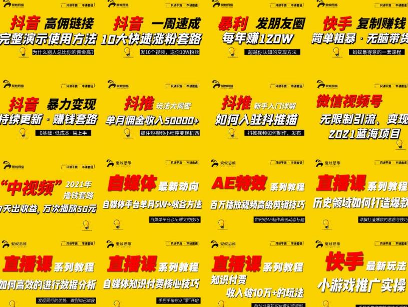 2021聚蚁思维高级合伙人vip会员课程合集,帮助上万人通过短视频变现益利