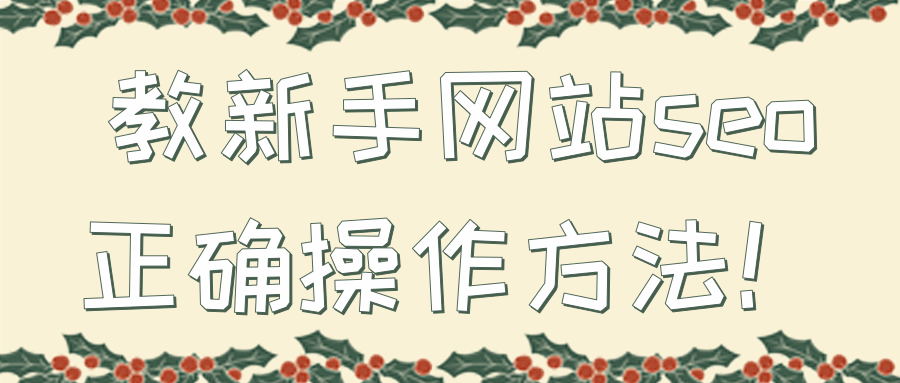 教新手网站seo正确操作方法！【视频教程】