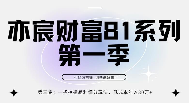 亦宸财富81系列第1季第3集:一招挖掘细分暴利玩法,低成本年入30w