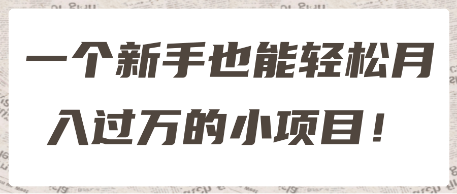 一个新手也能轻松月入过万的小项目！【视频教程】
