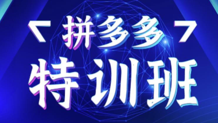 星雪教育·拼多多基础班+进阶班+突破班,用系统的学习模式快速改变现状价值3580元