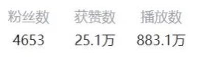 日赚100+的视频赚钱项目,神评论合集视频,可批量放大