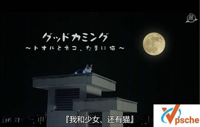 日本微电影Good Coming~我和少女、还有猫~