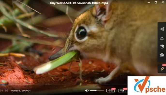 [纪录片]第一季《Tiny World小小世界》大自然科普纪录片[MP4/4.4GB]百度云下载