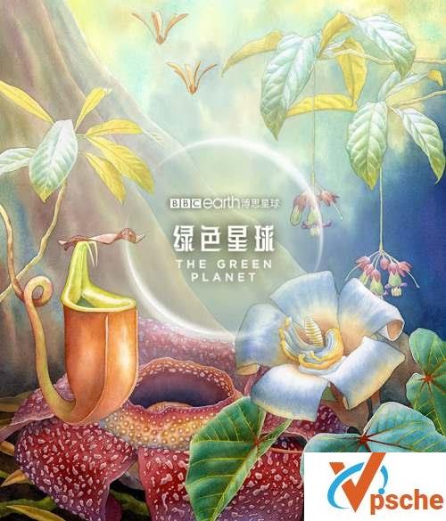 [纪录片]纪录片《 绿色星球》全5集珍藏版[MKV/112.54GB]阿里云盘下载