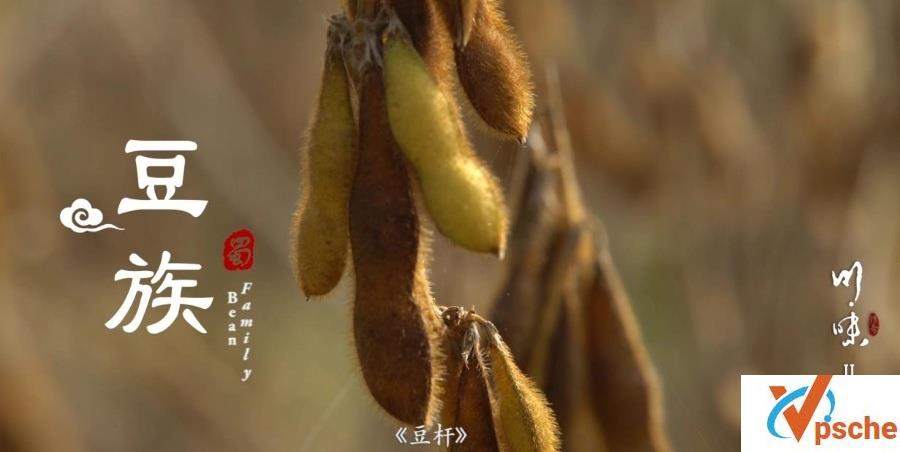 【川味】[三季全][用时间的力量，记录美味的发生][高清][84.24G]