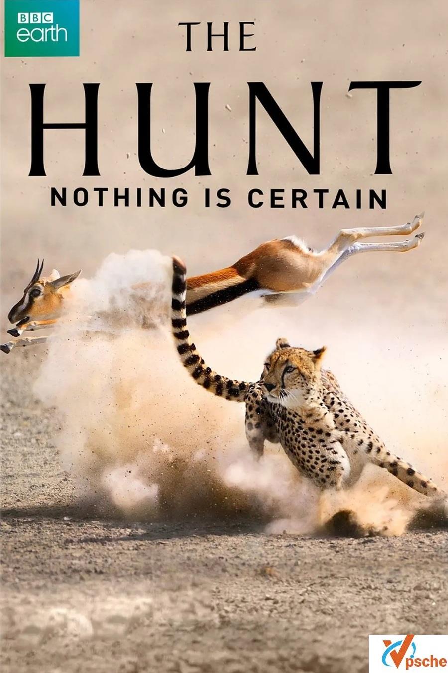 经典高分纪录片《猎捕 /The Hunt》1-7全集超清资源