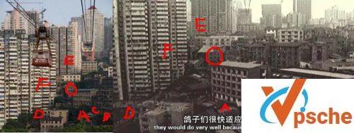 人类消失后的世界