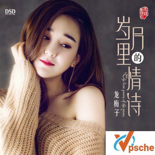 龙梅子