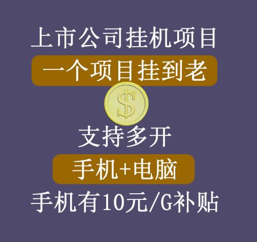 【上市公司】睿思挂机项目,一个项目挂到老,支持手机+电脑+虚拟机多开