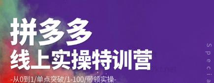 青云:拼多多运营实操特训营:从0到1/单点突破/1-100/带领实操价值2980元