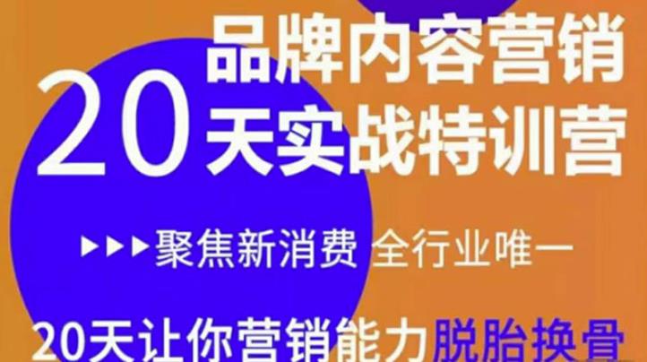《内容营销实操特训营》20天让你营销能力脱胎换骨(价值3999)