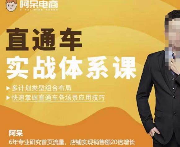 直通车实战体系课:多计划类型组合布局快速掌握直通车各场景应用技巧