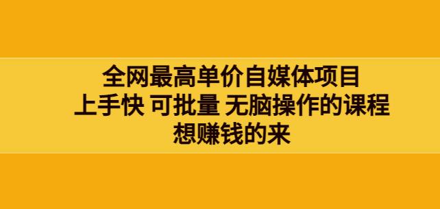 网最单高价自媒体项目:上手快可批量无脑操作的课程,想赚钱的来