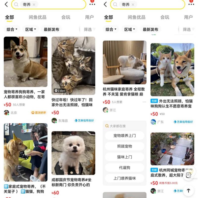 低成本宠物项目思路,单天300-500副业收入,适合所有人放大操作!