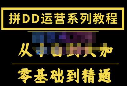 2022全套拼多多核心实操课程,从0-1轻松起链接实战,低投入高产出运作店铺