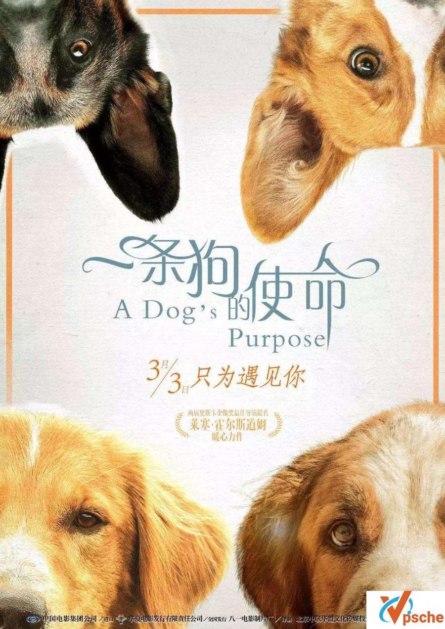 2014电影《采访/名嘴出任务》百度云