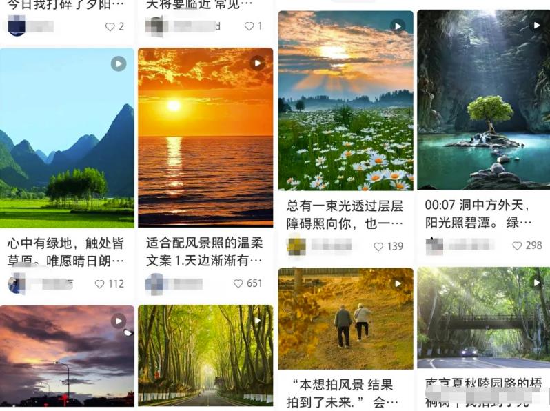抖音最新项目玩法分享,美丽的风景也能实现日入1000+!
