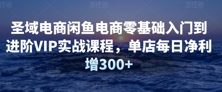 圣域电商闲鱼电商零基础入门到进阶VIP实战课程,单店每日净利增300+