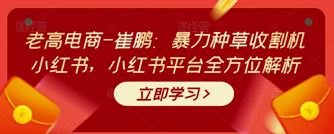 老高电商-崔鹏:暴力种草收割机小红书,小红书平台全方位解析