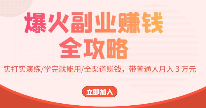 爆火副业赚钱全攻略:实打实演练/学完就能用/全渠道赚钱,带普通人月入3万元!