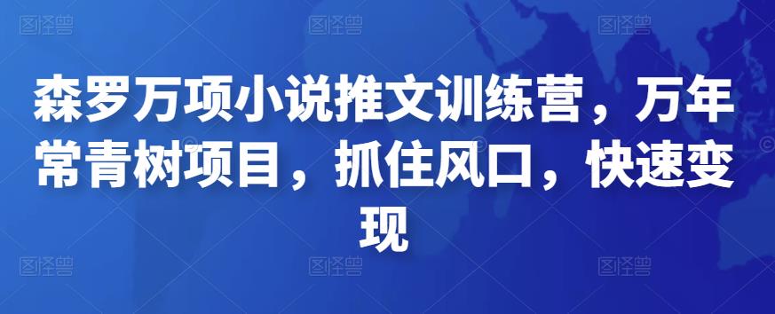 森罗万项小说推文训练营,万年常青树项目,抓住风口,快速变现