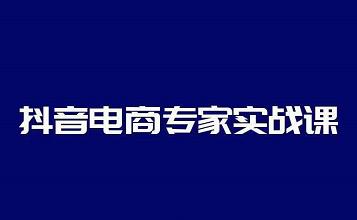 抖音电商专家实战课,你上你也行-人人能做的卖货达人