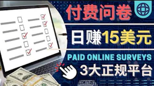 参与付费调查,利用自己的空闲时间完成问卷,适合新手的平台,日赚15美元