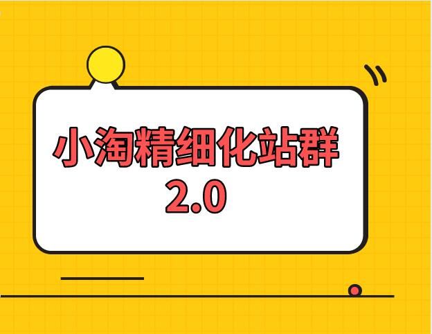 小淘学社：实操精细化网站站群项目【全套视频教程】