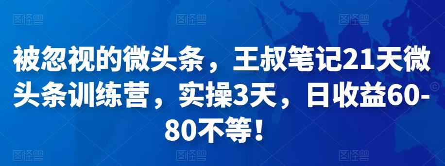 图片[1]-被忽视的微头条，王叔笔记21天微头条训练营，实操3天，日收益60-80不等-云上仙人说钱