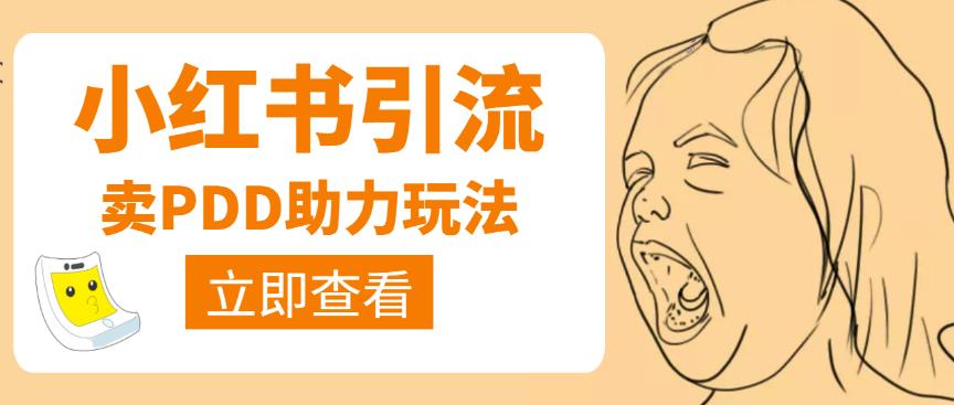 图片[1]-利用小红书卖拼多多助力，日赚100+，顺便还能引个流【视频课程】-云上仙人说钱