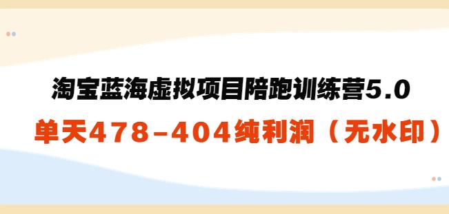 黄岛主：淘宝蓝海虚拟项目陪跑训练营5.0：单天478纯利润（无水印）