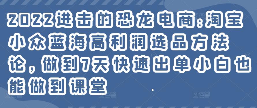 2022年淘宝小众蓝海高利润选品方法论，做到7天快速出单小白也能做到