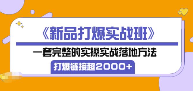 高客单价《新品打爆实战班》,一套完整的实操实战落地方法，打爆链接超2000+（28节课)