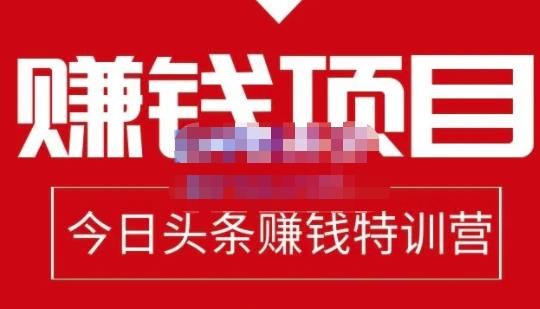 懒人领域·今日头条项目玩法，头条中视频项目，单号收益在50—500可批量