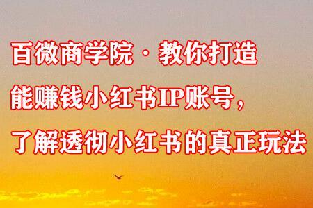 百微商学院·教你打造能赚钱小红书IP账号，了解透彻小红书的真正玩法