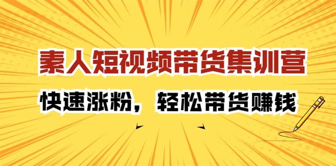 素人短视频带货集训营：快速涨粉，轻松带货赚钱