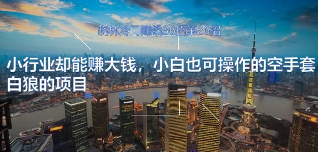 晓林冷门赚钱36招第26招小行业却能赚大钱，小白也可操作的空手套白狼的项目【视频课程】