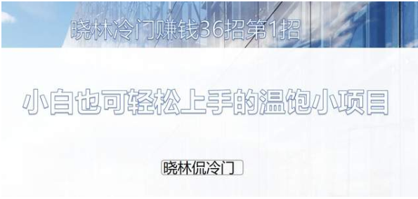 晓林冷门赚钱36招第1招：小白也可轻松上手的温饱小项目【视频课程】