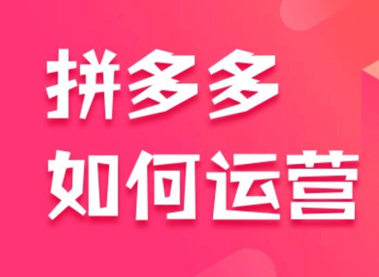 2021拼多多线下直播课：全程纯干货分享，关于拼多多的一切逻辑都能在这学到