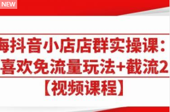 大海：《抖音小店店群实操课》猜你喜欢免流量玩法+截流 2.0