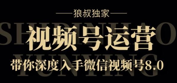 微信视频号8.0运营实战课价值1280元【狼叔课程】