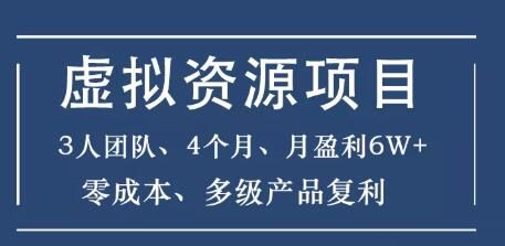虚拟资源实战项目（暴疯团队VIP），3人团队，4个月，月盈利6W+，高客单价、多产品复利