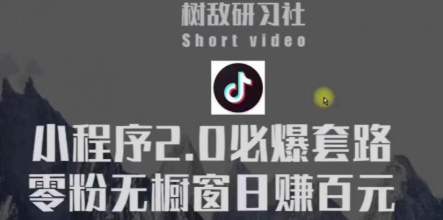 树敌研习社6月抖音赚钱课程：抖音小程序2.0路必爆套零粉无橱窗日赚百元玩法