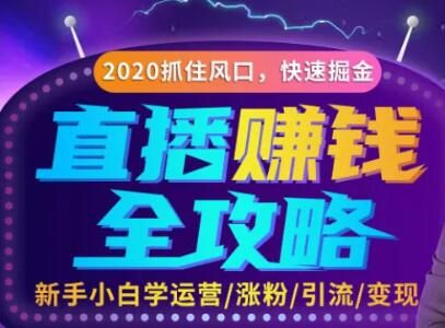 图片[1]-直播赚钱攻略，教你涨粉/引流/带货/变现，轻松月入10万+！-云上仙人说钱