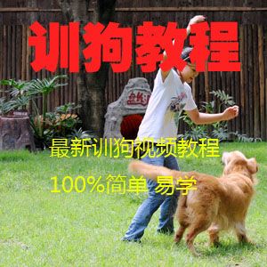 图片[1]-训狗视频教程(高清全集)-云上仙人说钱