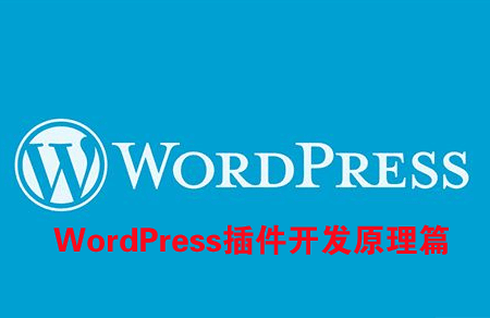 图片[1]-WordPress插件开发原理篇-云上仙人说钱