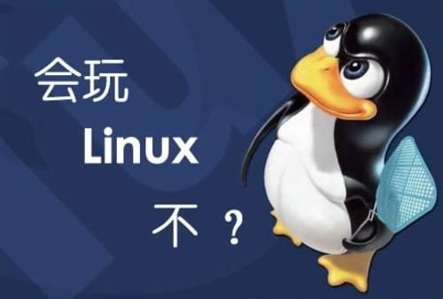 图片[1]-PHP架构之Linux基础、进阶优化、开发、负载均衡教程-云上仙人说钱