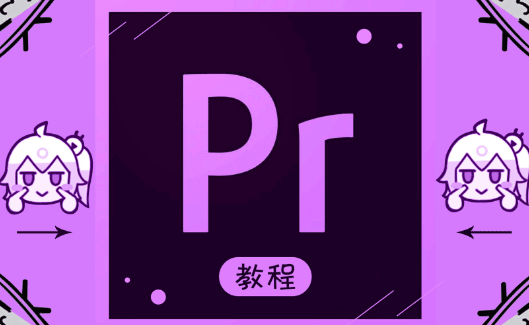 图片[1]-PR_Premiere基础到高级系统教程57节-云上仙人说钱